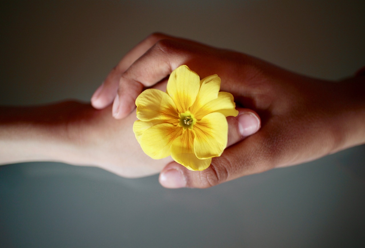 Kaksi kättä yhdessä. Keskellä keltainen kukka.