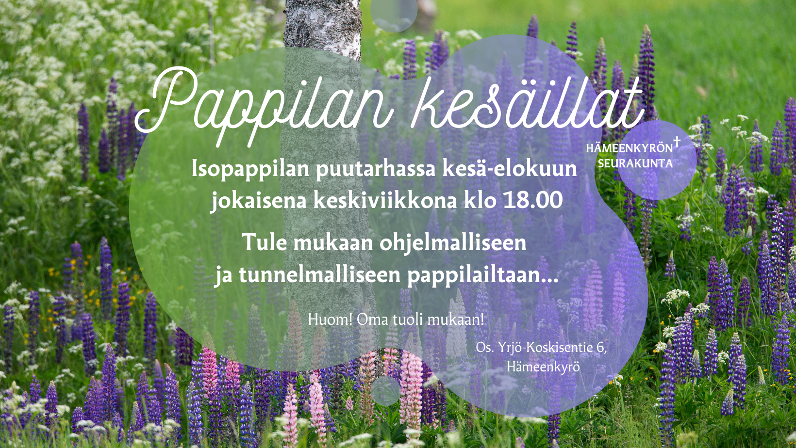 Pappilan kesäilta Kuvassa lupiineja koivun ympärillä ja tiedot pappilan kesäilloista