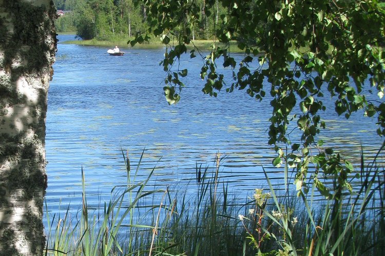 Kesäseurat Kesäseurat