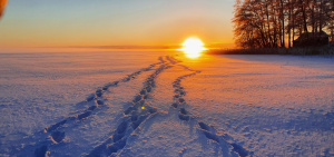 Auringonlasku