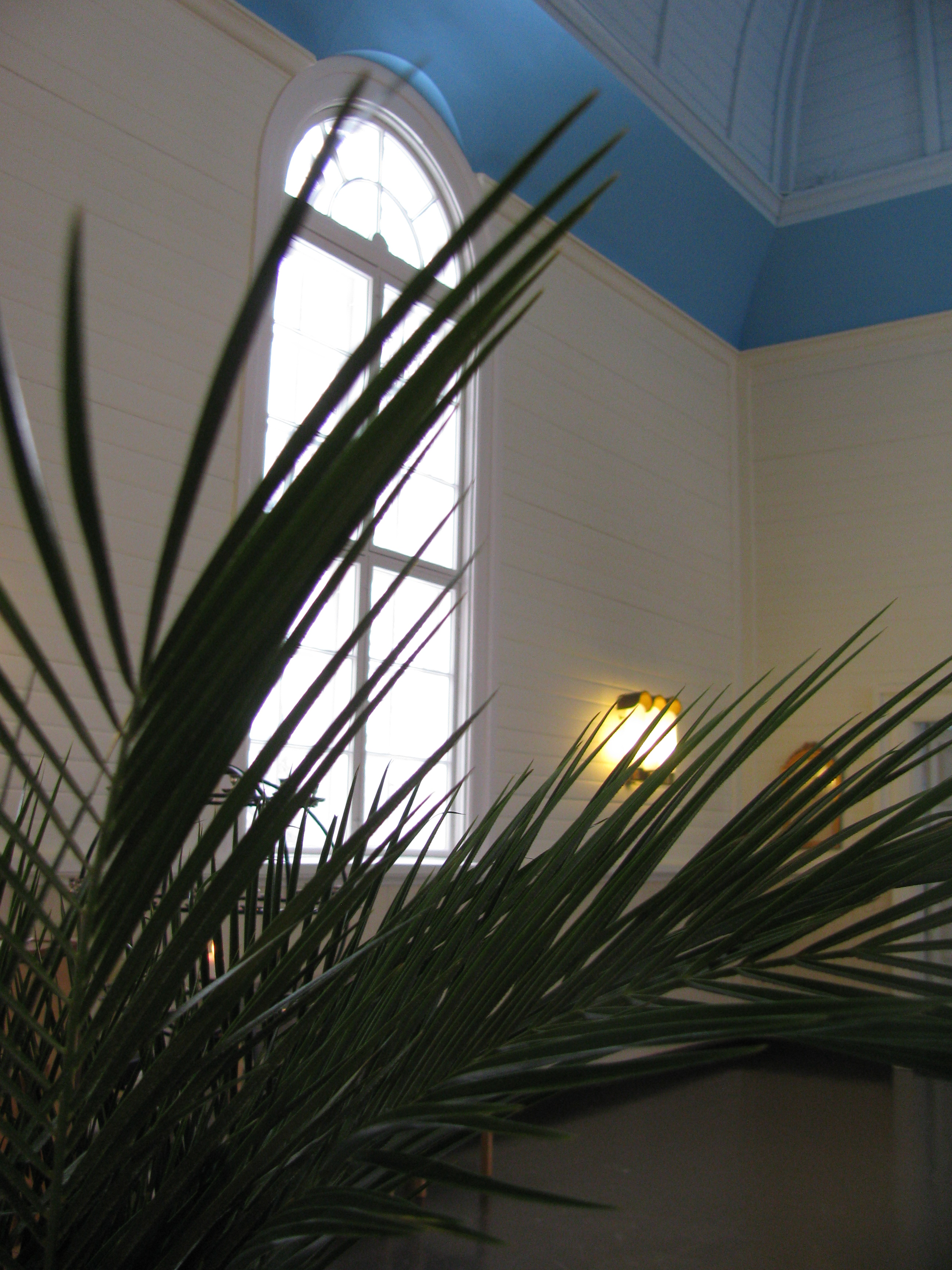 Kuvassa palmunoksia Hämeenkyrön kirkossa