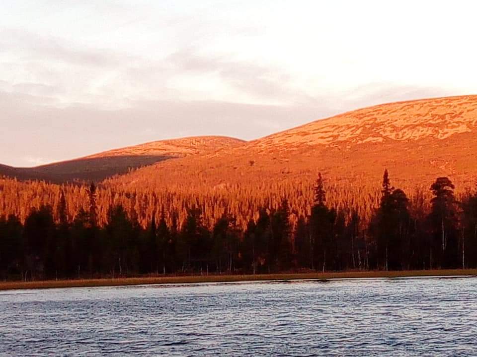 Maisema Pallas-tunturilta.